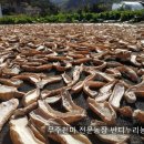 무주천마농장 이미지