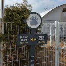 11650-16-102-7 | 춘천시반려동물놀이터 같이놀개 그리고 입양행사 솔직후기