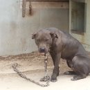 김영복농장 이미지