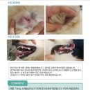 소노수의재단