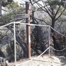 봉양1통 이미지