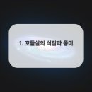 육각부 이미지