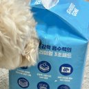 강아지 배변패드 쉬즈곤 3초패드 직접 써본 후기!