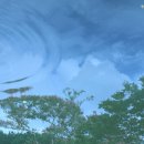 오늘의 쿡 이미지