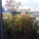 유가면사무소 이미지