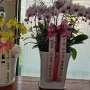 다대포검도관 이미지