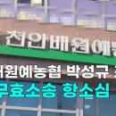 천안배원예농협 이미지