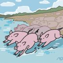 [인 더 바이블] 돼지(swine) 이미지