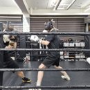 용인대SM복싱클럽 길동점 이미지