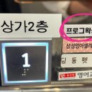 프로그왁싱 이미지