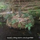 강진다산한우 이미지