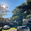 내린천솔밭힐링캠핑장 이미지