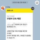 주정차 단속 알림 서비스 휘슬 사용법! (과태료 방지 후기)