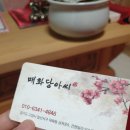 고양아씨