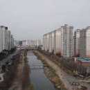 천해물산 네이버블로그