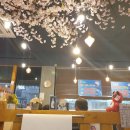 참바다365 이미지