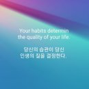 배스킨라빈스31부산 이미지