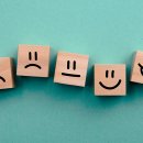 드래곤짐 이미지