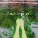 대만 패키지여행-3.