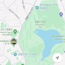 [영국/런던] 윔블던 테니스 직관 후기 큐잉 센터코트 리세일 조코비치