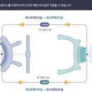 세종항공여행사 네이버블로그