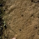 신안평거녹지 이미지