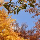 구룡자동차야영장 이미지