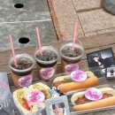 아지와 옹이 | 난 너없이 잘 살 수 있어