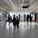 매탄 타이혼 이미지