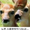 여주고등학교 이미지