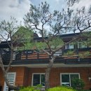 레드클로버 | 양평 계곡 펜션 수영장까지 있는 레드클로버 펜션