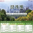 광주해밀여행사