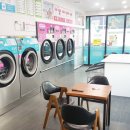 월드크리닝 이미지