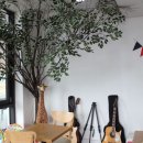 가평우리펜션 이미지