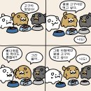 순진한강아지
