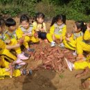 열매몬테소리어린이집 이미지