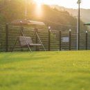 펫티움애견펜션 이미지