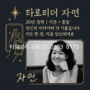 카드로 힐링하는 타로 이미지