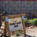 중앙동 문화의거리 | [강릉] 강릉 중앙동일본가정식 덮밥 맛집 스미야키센_ 다녀온 솔직한 후기