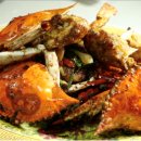 해남진도식당 이미지