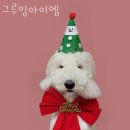 그루밍아이엠 이미지