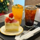 땡큐베이커리 | 성심당 근처 카페 케이크 맛집 쉬기 좋은 땡큐베리머치 내돈내산