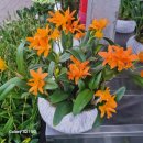 대운스크린골프 이미지