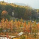 오늘오후 이미지