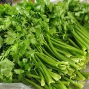 그린푸드 이미지