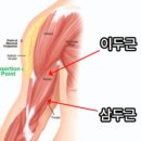브릴린의원 이미지