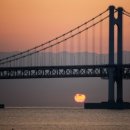 남천1-203 이미지