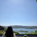 [대전애견동반카페] 대전 대청호 애견동반카페 '롤라(Lolla)'(애견동반 실내가능)