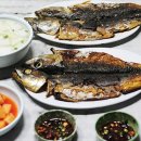 낭만고등어 이미지