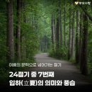 입하(立夏)의 뜻과 의미 풍습까지 총 정리 이미지